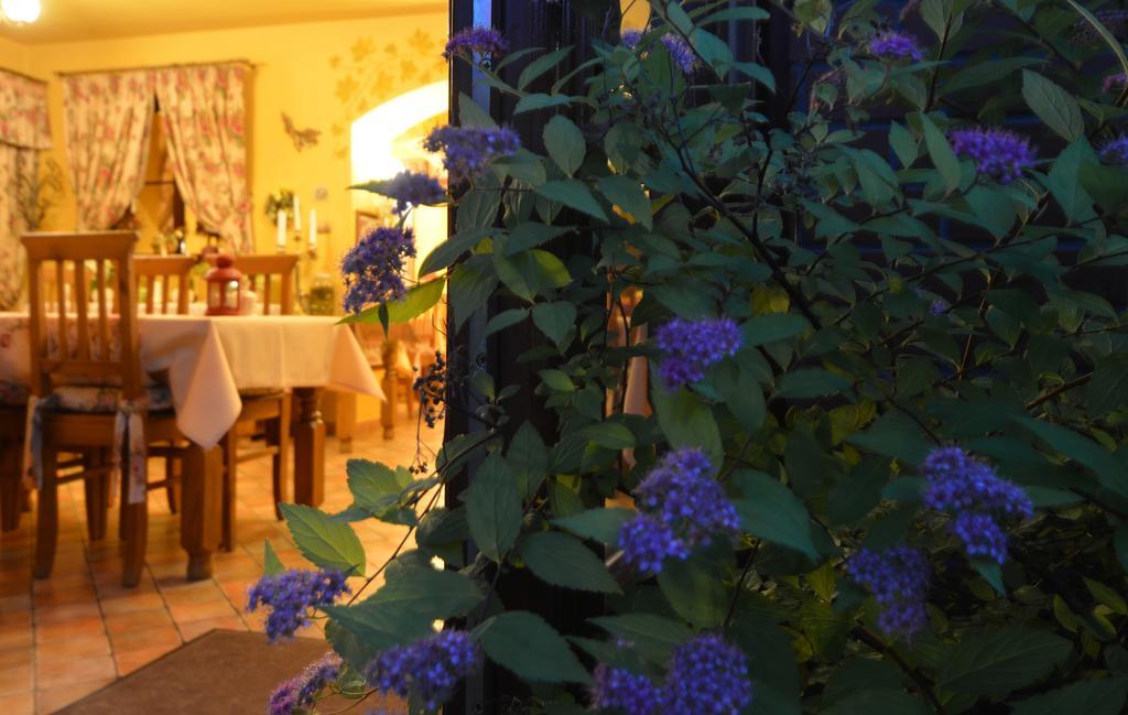 Hotel Magnes Szklarska Poręba Eksteriør billede